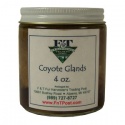 Coyote Glands