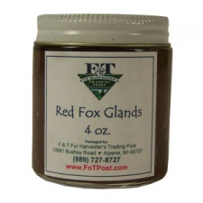 Red Fox Glands