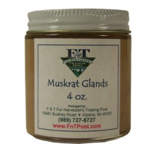 Muskrat Glands