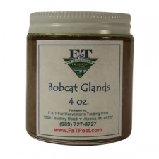 Bobcat Glands