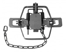 #4 Duke Coil Spring Trap (4 Coiled/Offset Jaws)