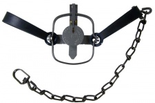 #11 Duke Double Long Spring Trap