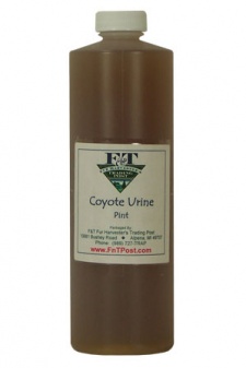 Coyote Urine
