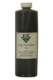 Grey Fox Urine