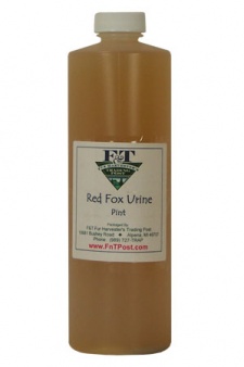 Red Fox Urine