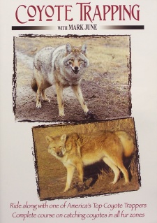 Mark June's "Coyote Trapping" DVD