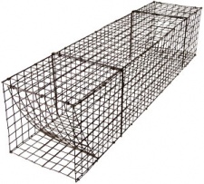 Freedom Brand 8" x 8" x 36" Collapsible Muskrat Colony Trap