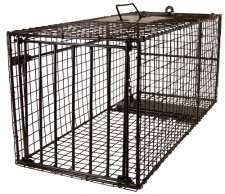 Freedom Brand Professional Series Cage Traps