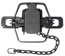 #2 Bridger Dogless Coil Spring Trap (4 Coiled/Offset Jaws)