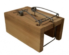 Wood Box Gopher Trap