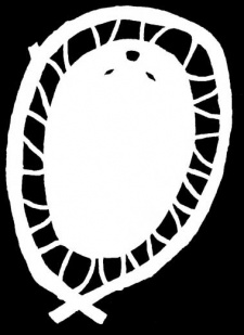 Hooped Beaver Pelt Decal