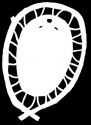 Hooped Beaver Pelt Decal