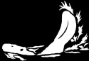 Tail Slappin' Beaver Decal