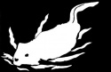 Swimming Muskrat Decal
