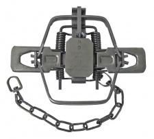 #2 Duke Coil Spring Trap (4 Coiled)