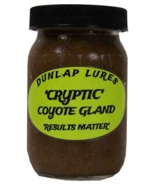 Dunlap's Cryptic Coyote Gland Lure