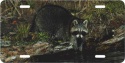 Raccoon License Plate