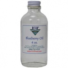Blueberry Oil