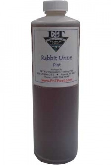 Rabbit Urine