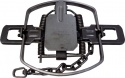 #5 Bridger Dogless Coil Spring Trap (4 Coiled)